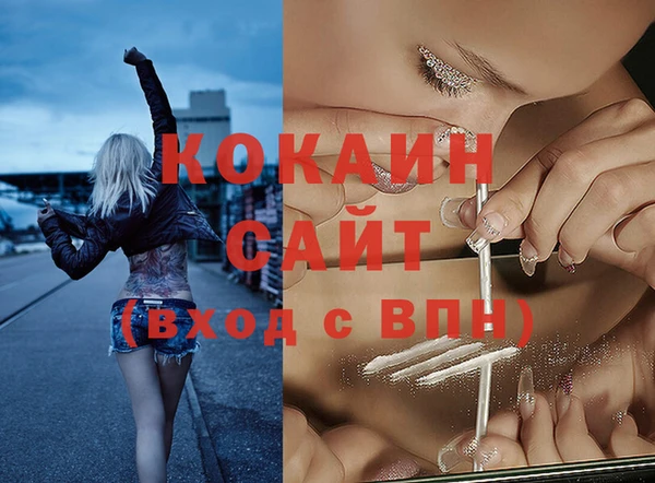 apvp Алзамай