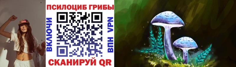 это официальный сайт  Дзержинск  Галлюциногенные грибы прущие грибы  цены наркотик  гидра рабочий сайт 