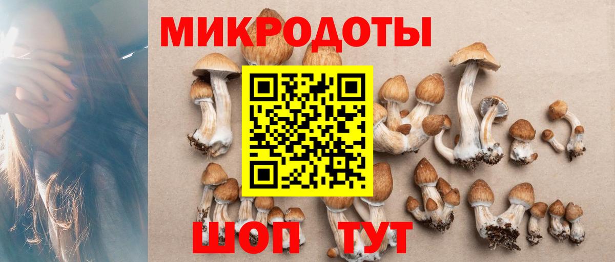 Псилоцибиновые грибы GOLDEN TEACHER Дзержинск